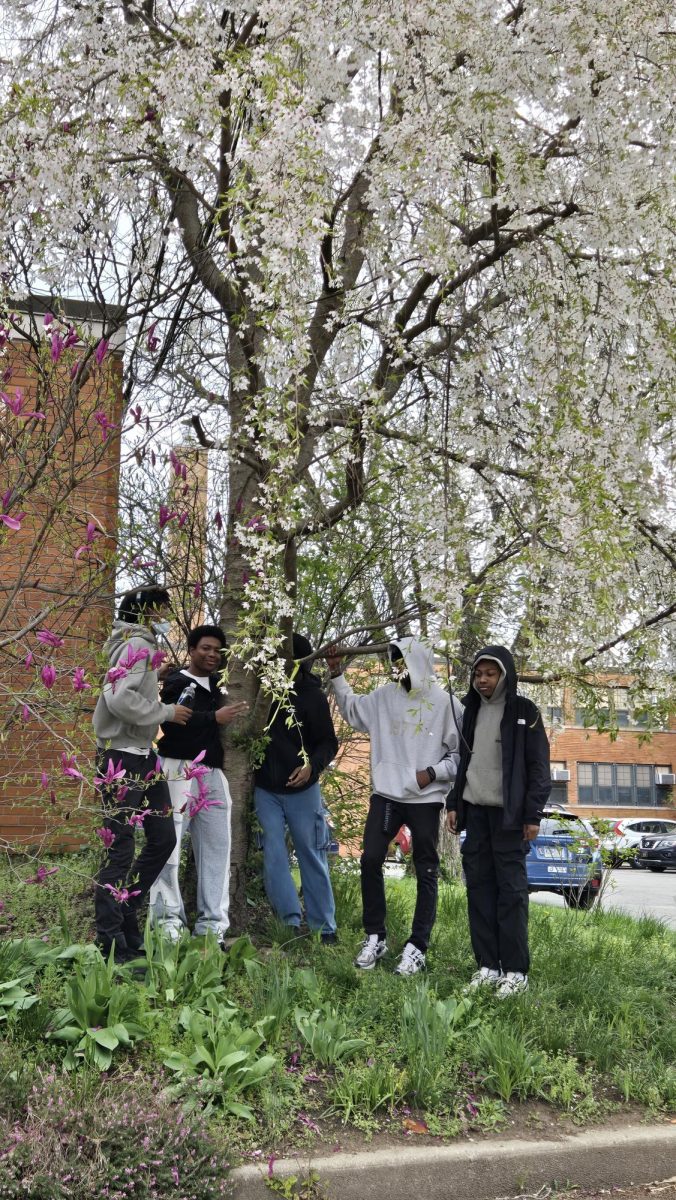 This photo, submitted by Zariah Lewis to the Saul Spring Photo Contest, 2025, won the Most Saul Photo award.