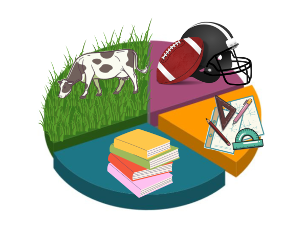 Navigation to Story: Student Explainer: Saul Budget