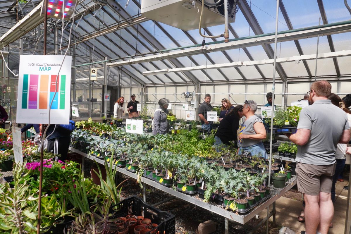 Guests admiring the inside of the greenhouse with all of its plants.