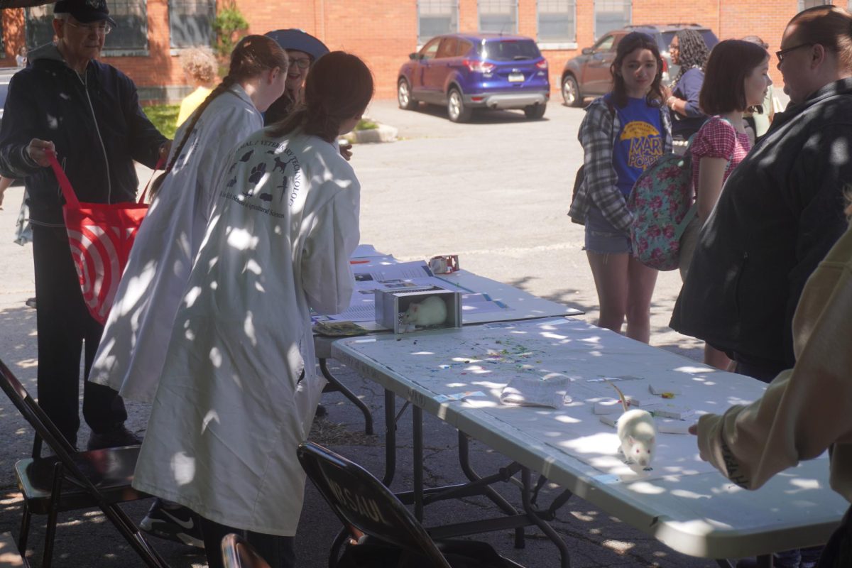  12th-grade Small Animal Science major students use rat hormones in attempt to get the rats to paint.