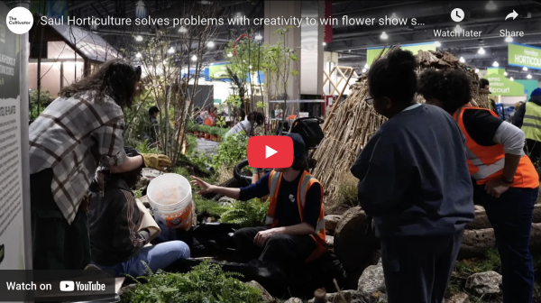 Navigation to Story: Saul Horticulture solves problems with creativity to win flower show silver